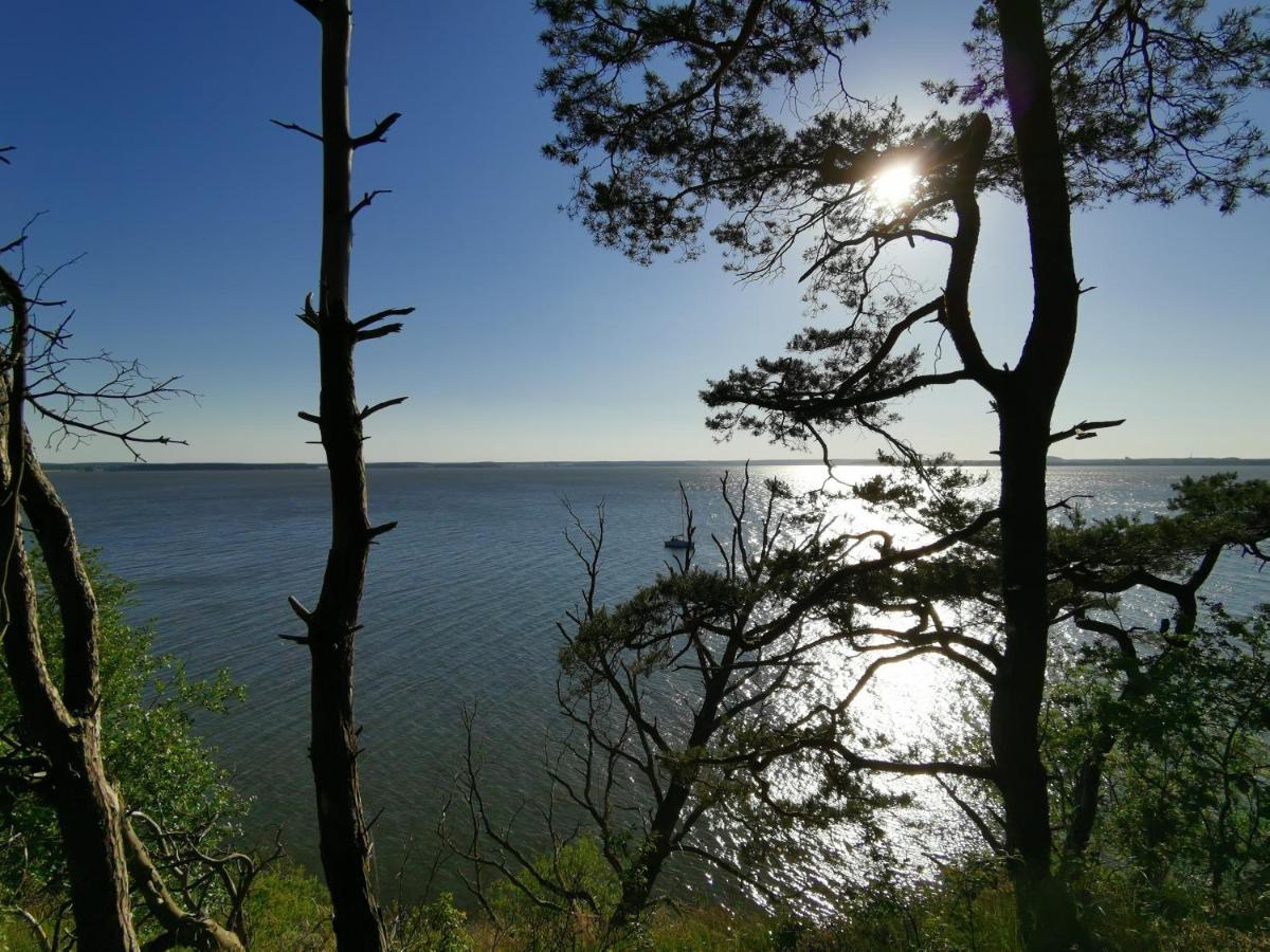 Apartment Waldblick Vom Naturhof Usedom Bannemin エクステリア 写真