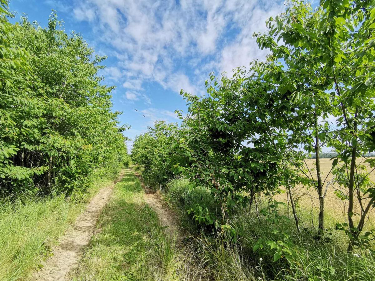 Apartment Waldblick Vom Naturhof Usedom Bannemin エクステリア 写真